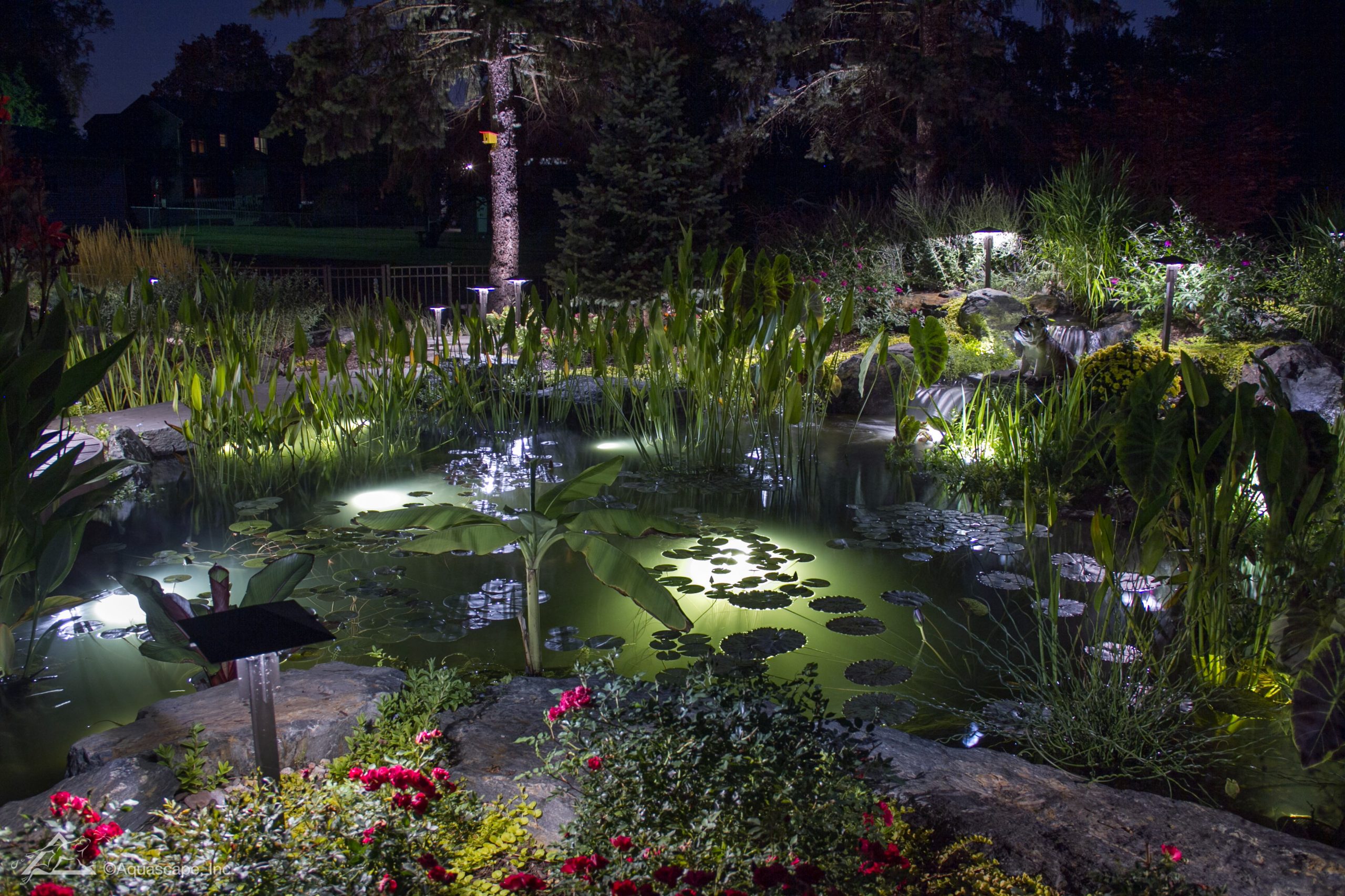 Pond Leak