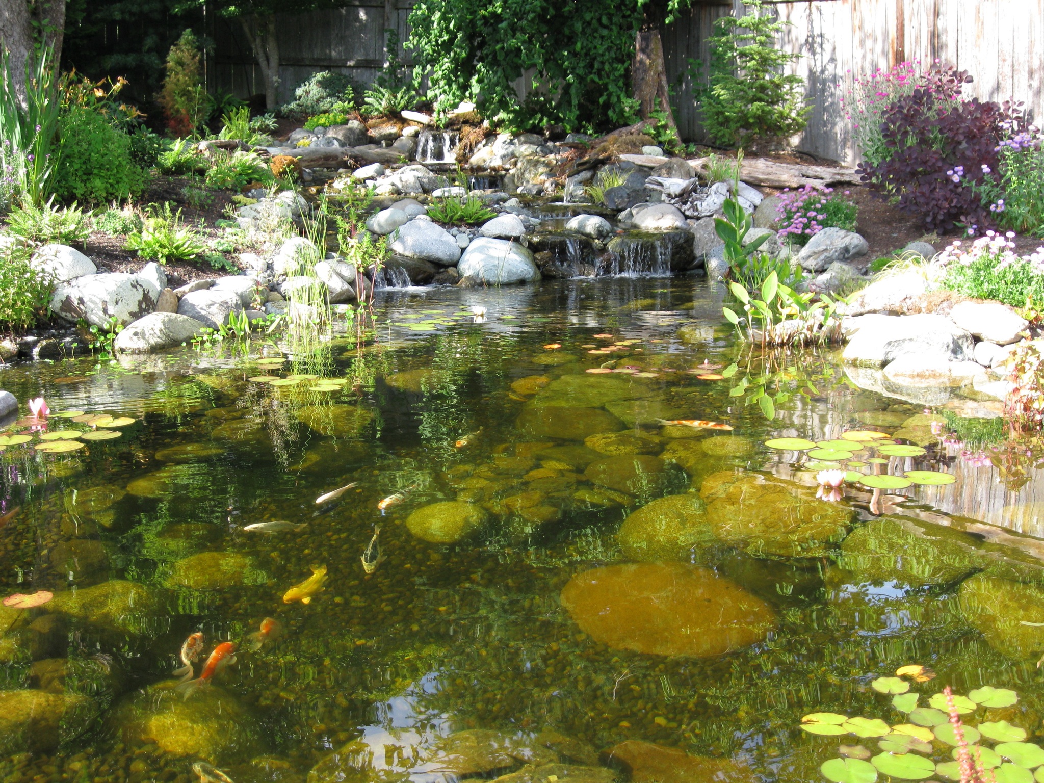 Outdoor Pond