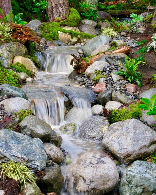 pond renovation