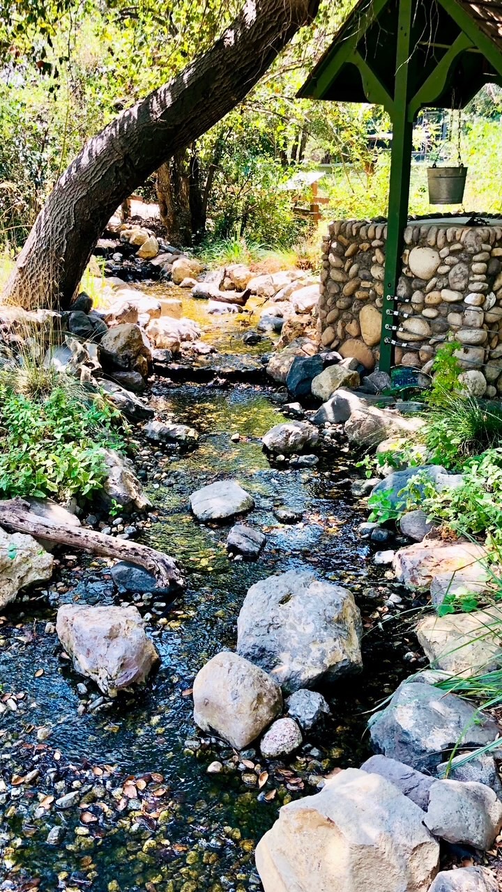 Anaheim pond maintenance
