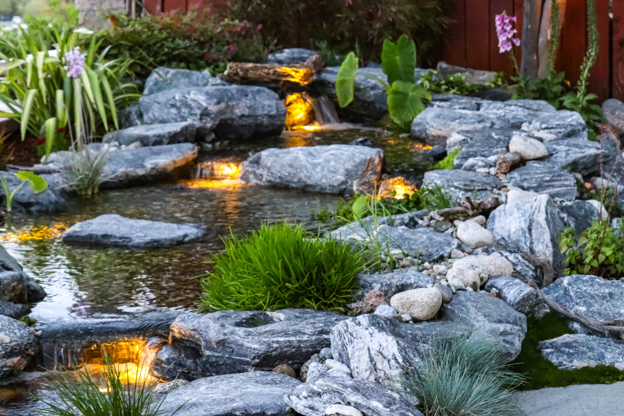 Southern California Pond