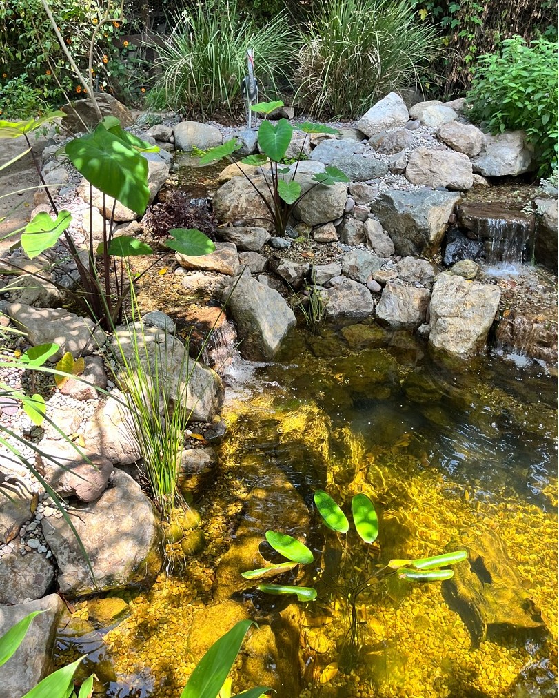 Orange County Pond