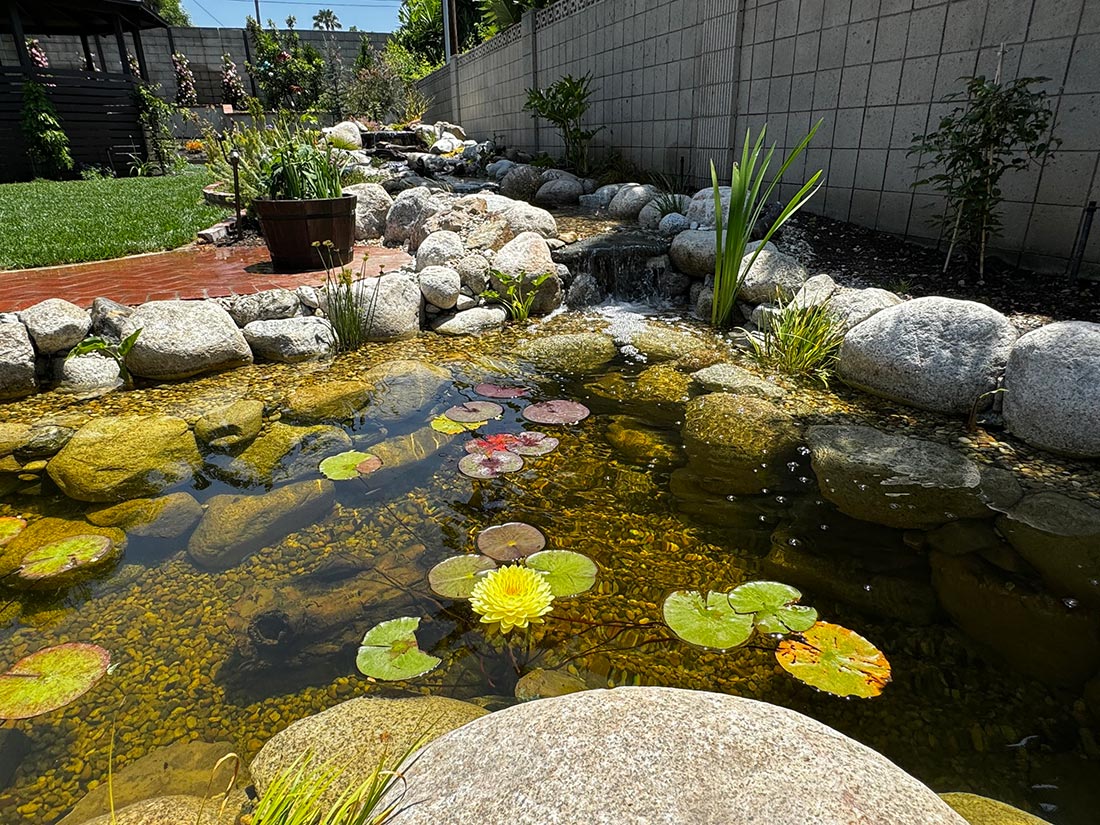 backyard-waterfall-stream-pond