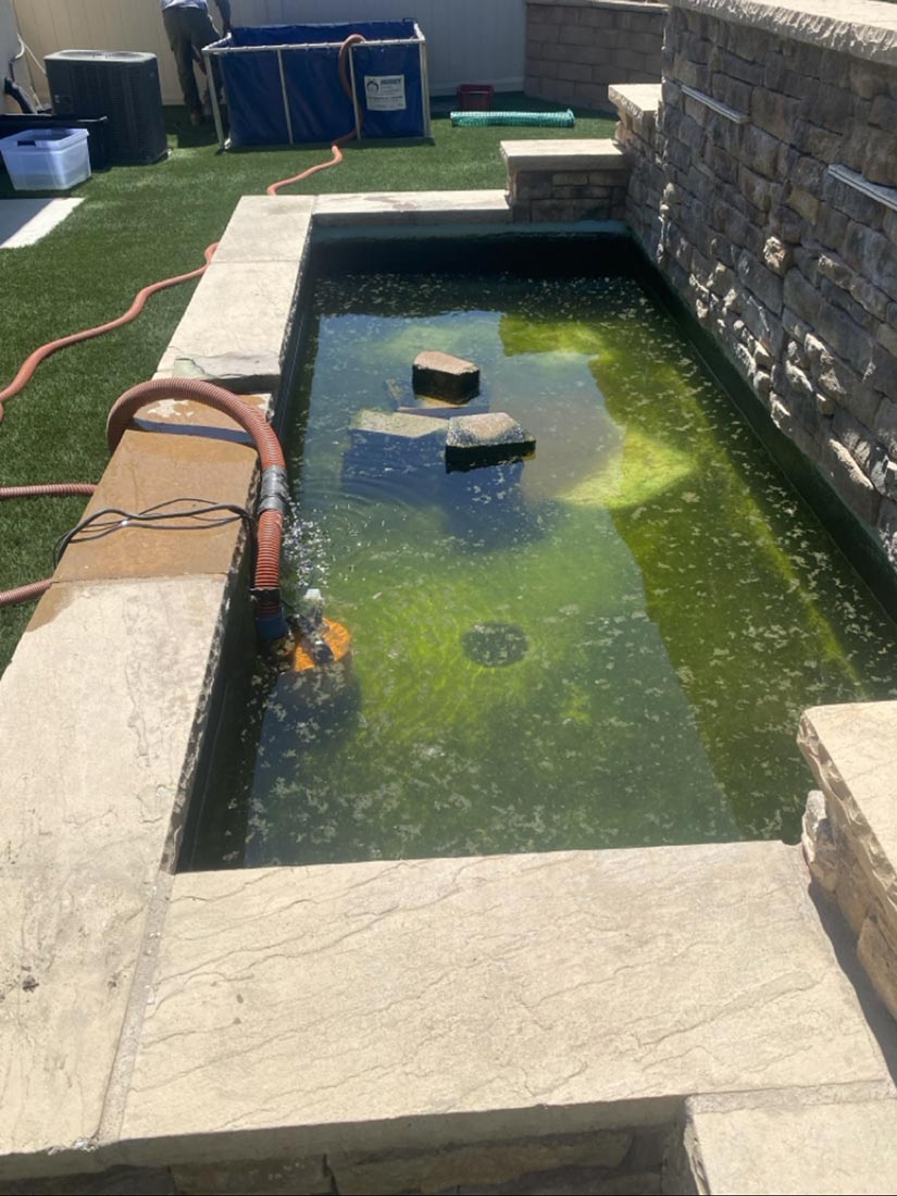 broken-pond-renovation-before