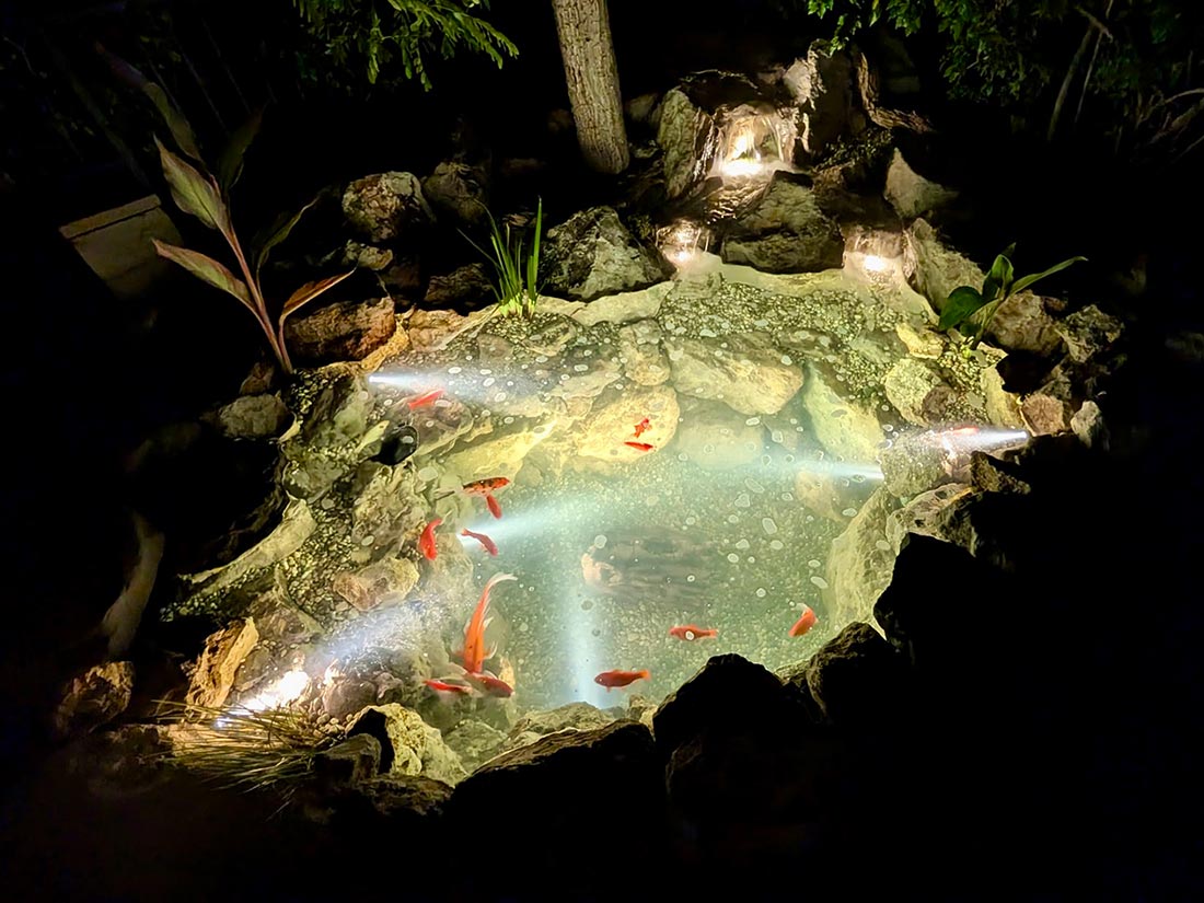 koi-pond-lighting