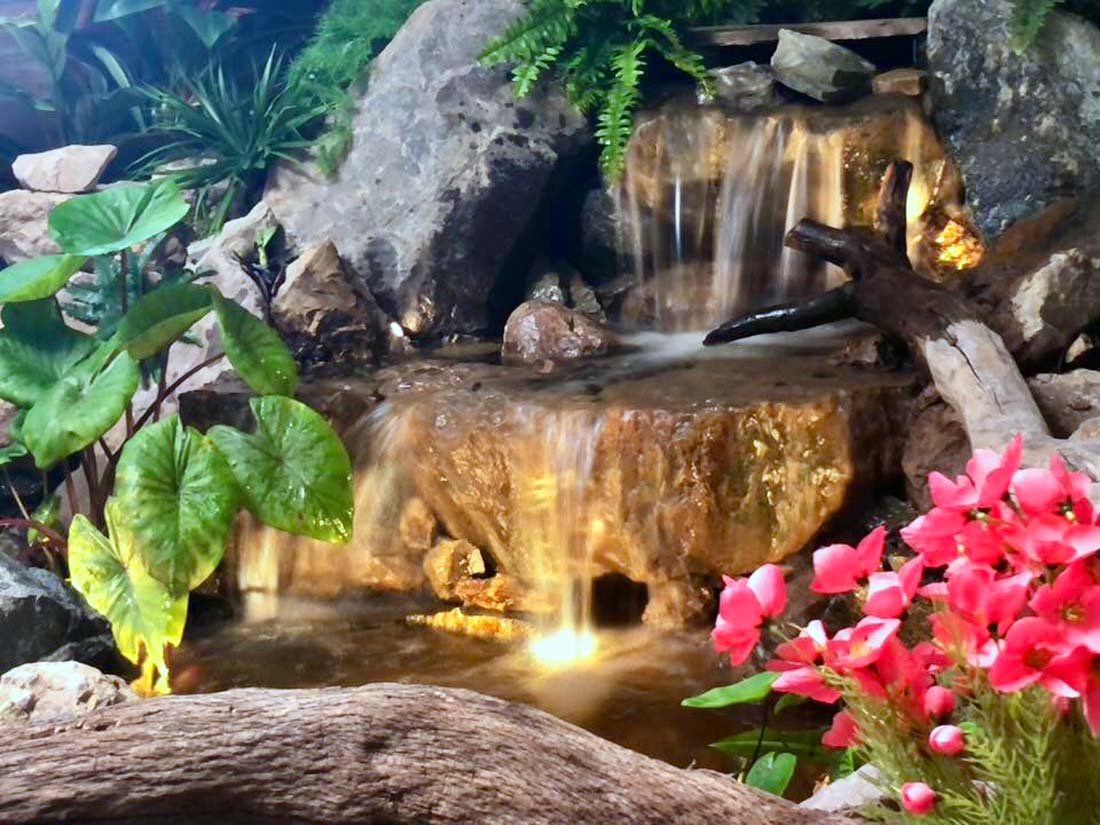 pondless-lighting-pink-flowers