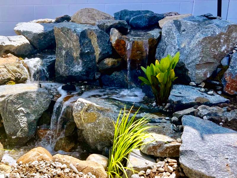 small-backyard-pondless