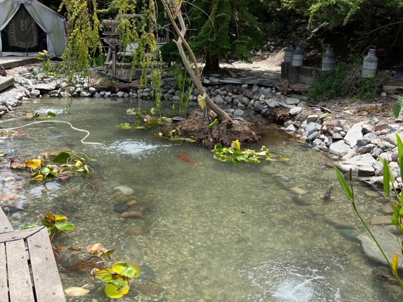 pond-clean-drain-after