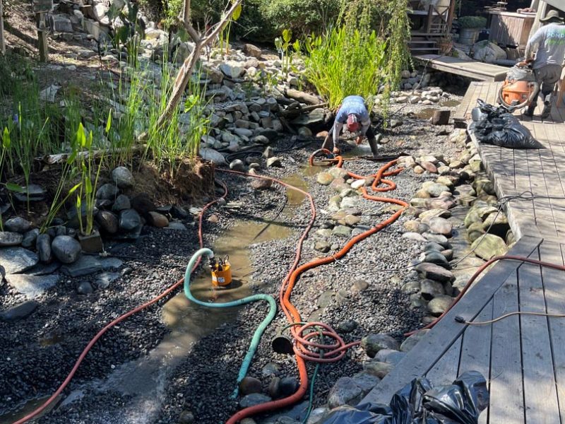 pond-clean-drain-during